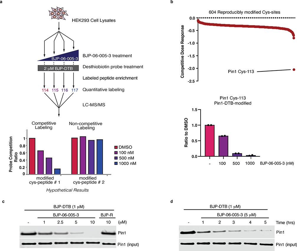 https://cdn.ncbi.nlm.nih.gov/pmc/blobs/962a/7442691/016f2109a8cb/nihms-1585335-f0003.jpg