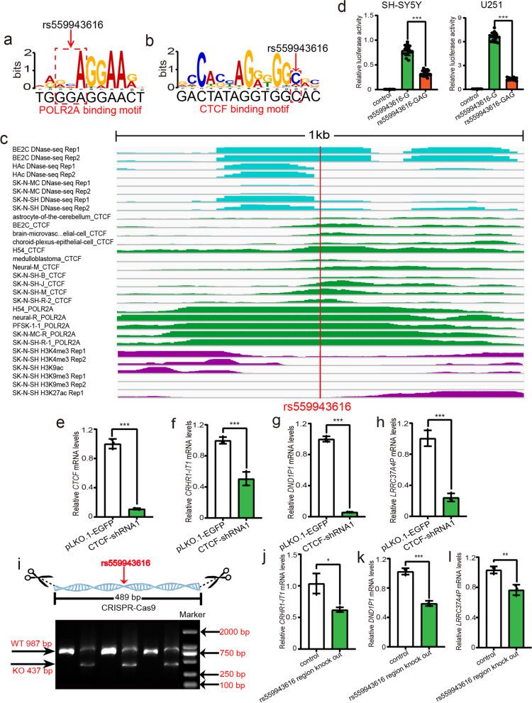 https://cdn.ncbi.nlm.nih.gov/pmc/blobs/9640/8848643/63385c778da2/12916_2022_2264_Fig6_HTML.jpg
