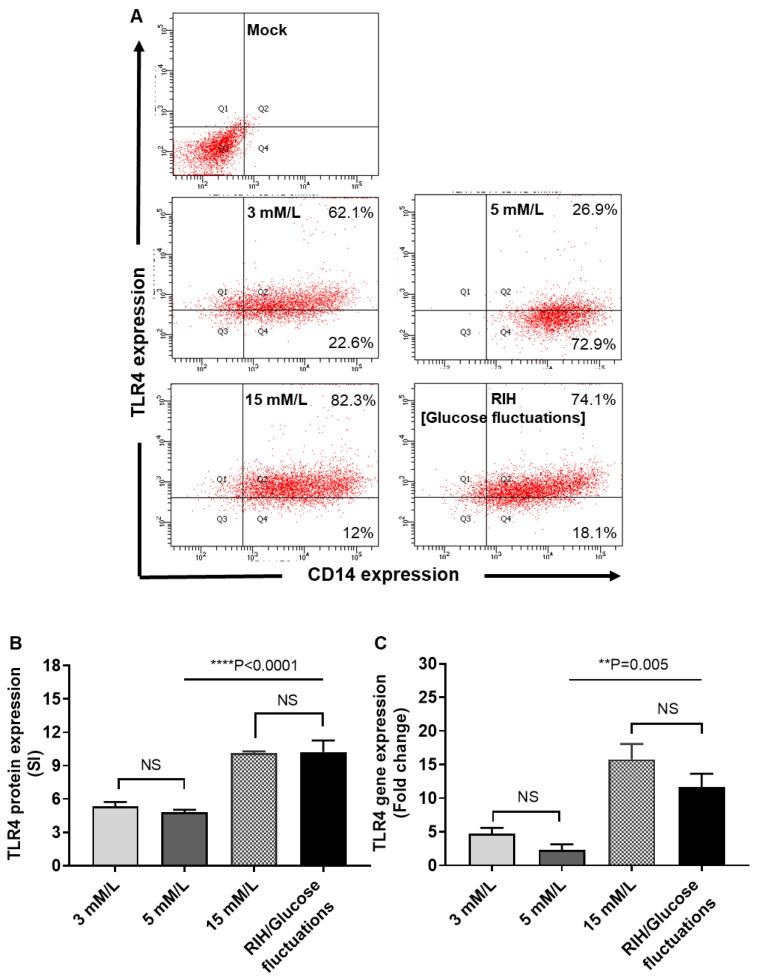 https://cdn.ncbi.nlm.nih.gov/pmc/blobs/9642/7463685/2d47d85f1436/cells-09-01892-g004.jpg