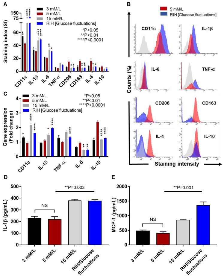 https://cdn.ncbi.nlm.nih.gov/pmc/blobs/9642/7463685/5b0a3e9e350b/cells-09-01892-g002.jpg