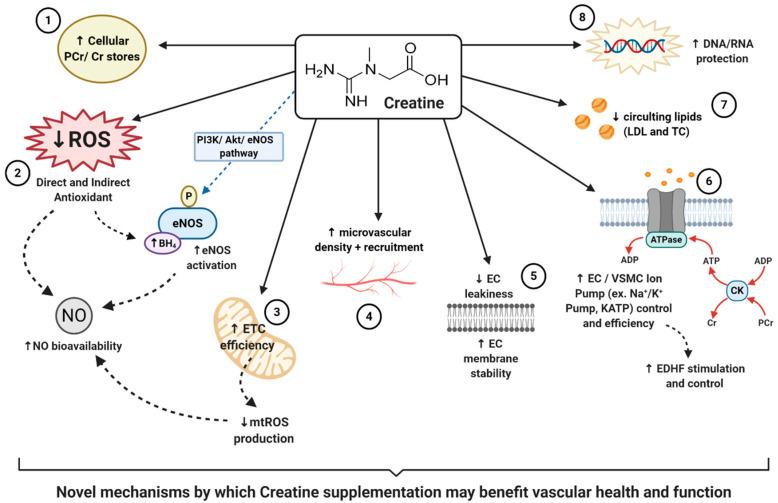 https://cdn.ncbi.nlm.nih.gov/pmc/blobs/9660/7999364/4d1fd5068404/nutrients-13-00857-g001.jpg