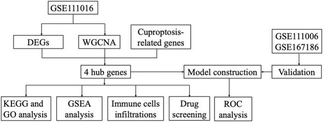 https://cdn.ncbi.nlm.nih.gov/pmc/blobs/966a/10063920/fb037e7be7b3/fgene-14-1136763-g001.jpg