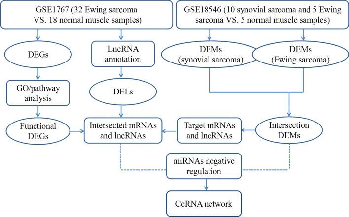 https://cdn.ncbi.nlm.nih.gov/pmc/blobs/967c/7927383/be8981724f29/12920_2021_918_Fig1_HTML.jpg
