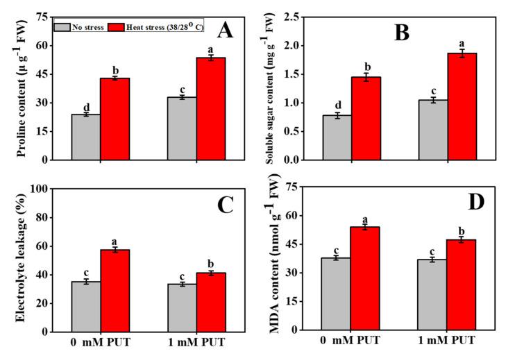 https://cdn.ncbi.nlm.nih.gov/pmc/blobs/967d/9032913/0544d33cc1c5/plants-11-01038-g006.jpg