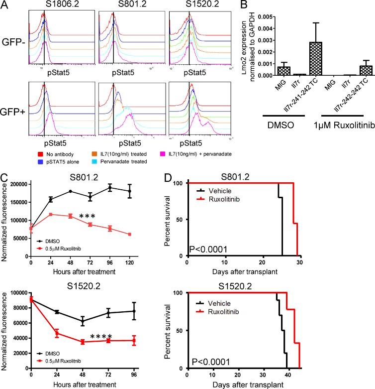 https://cdn.ncbi.nlm.nih.gov/pmc/blobs/968e/3978278/e25b3ee31b5c/JEM_20122727_Fig7.jpg