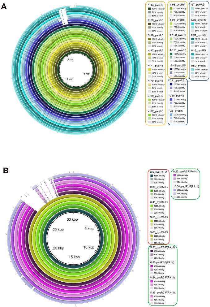 https://cdn.ncbi.nlm.nih.gov/pmc/blobs/9691/9810705/f3b5960cb7ca/41598_2022_27341_Fig2_HTML.jpg
