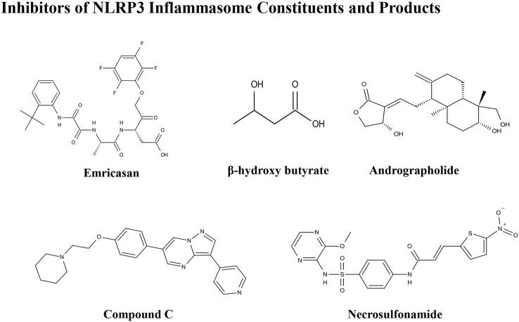 https://cdn.ncbi.nlm.nih.gov/pmc/blobs/96b5/8957978/7ff85b7498ef/fphar-13-780496-g003.jpg