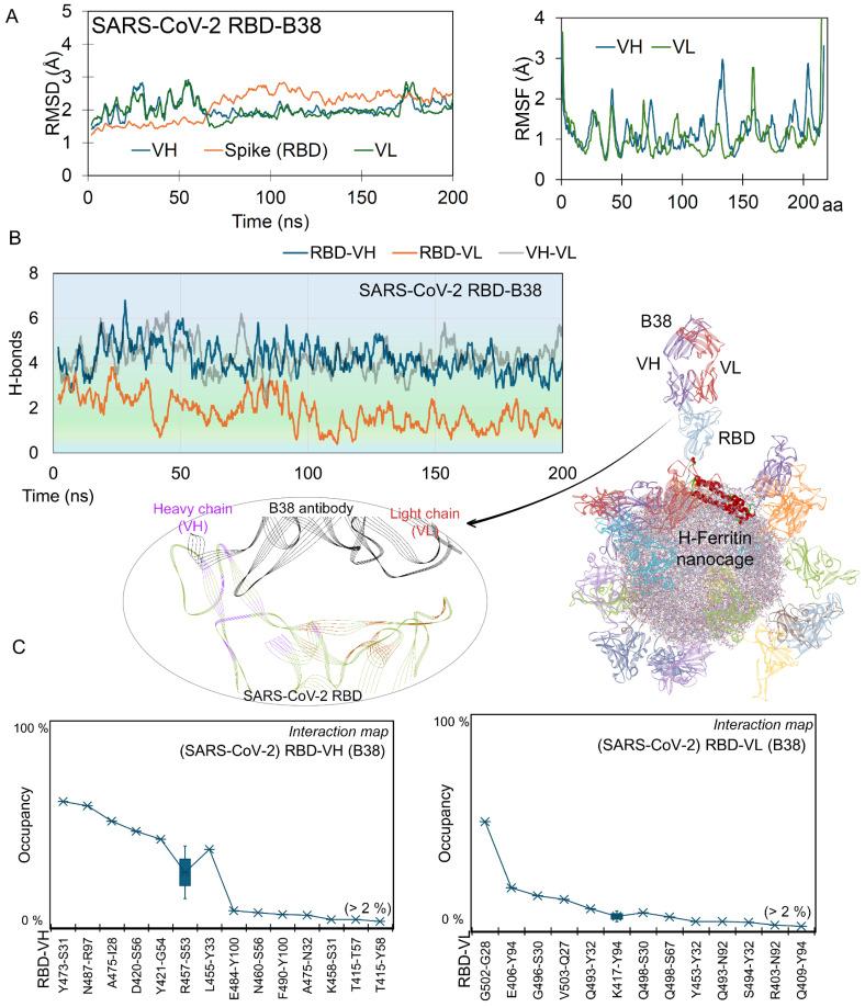https://cdn.ncbi.nlm.nih.gov/pmc/blobs/96c4/12346103/a68ba9620caf/ijms-26-07047-g002.jpg