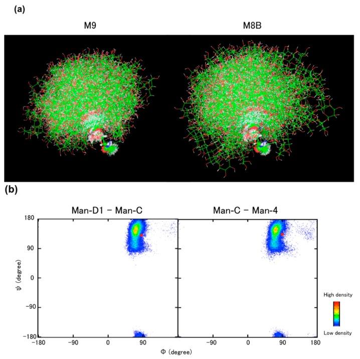 https://cdn.ncbi.nlm.nih.gov/pmc/blobs/96cf/6272264/ce251278d1a7/molecules-20-02475-g006.jpg