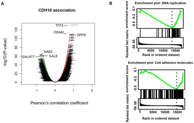 https://cdn.ncbi.nlm.nih.gov/pmc/blobs/96d8/8941525/a28407079cc6/ol-23-05-13265-g02.jpg