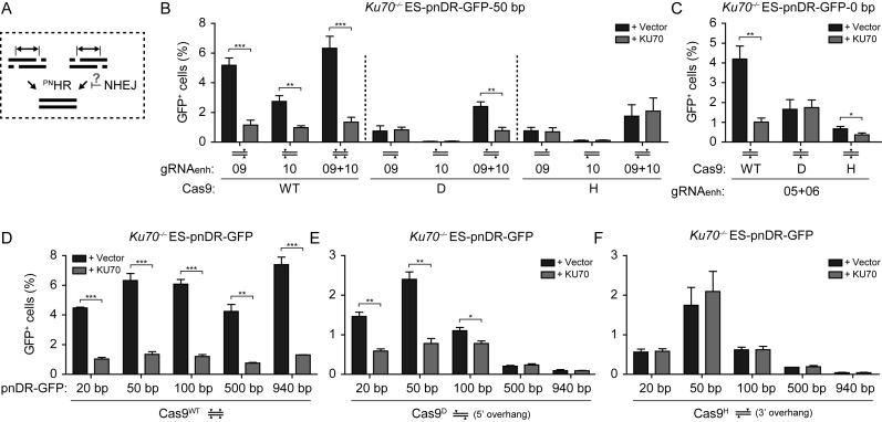 https://cdn.ncbi.nlm.nih.gov/pmc/blobs/96ef/4914091/c12bb0ffd8b1/gkw179fig4.jpg