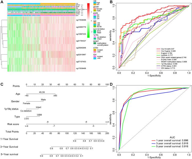 https://cdn.ncbi.nlm.nih.gov/pmc/blobs/96f0/8203203/0a00279351e3/fcell-09-670854-g005.jpg