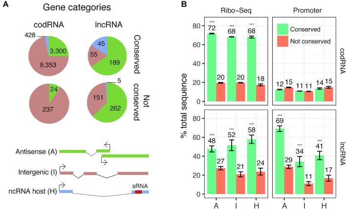 https://cdn.ncbi.nlm.nih.gov/pmc/blobs/96fd/7671363/51b3b793e8a7/lqz002fig2.jpg