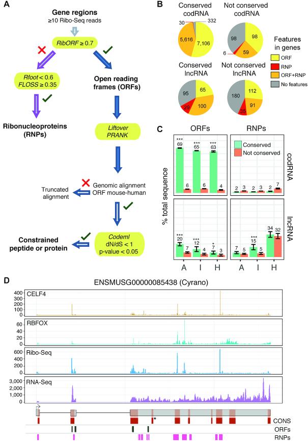 https://cdn.ncbi.nlm.nih.gov/pmc/blobs/96fd/7671363/ed6d856d9263/lqz002fig3.jpg