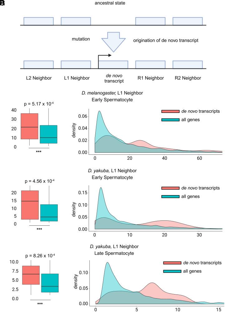 https://cdn.ncbi.nlm.nih.gov/pmc/blobs/970f/12067204/c8ec7e12fb4b/pnas.2425618122fig05.jpg