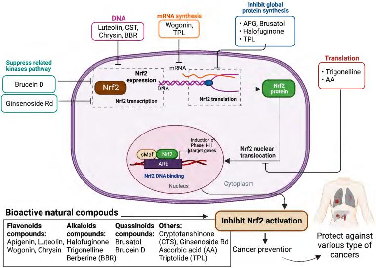 https://cdn.ncbi.nlm.nih.gov/pmc/blobs/9728/10321279/21ada1264cb0/ijbsv19p3029g003.jpg