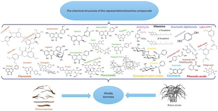 https://cdn.ncbi.nlm.nih.gov/pmc/blobs/972c/12348207/2427d46cbee1/molecules-30-03144-g002.jpg