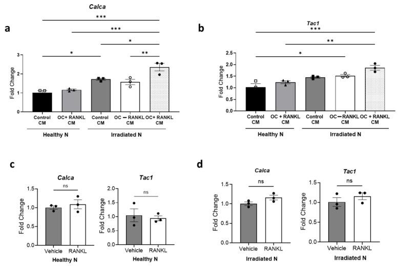https://cdn.ncbi.nlm.nih.gov/pmc/blobs/9732/12428180/fee611a7d443/cells-14-01324-g007.jpg