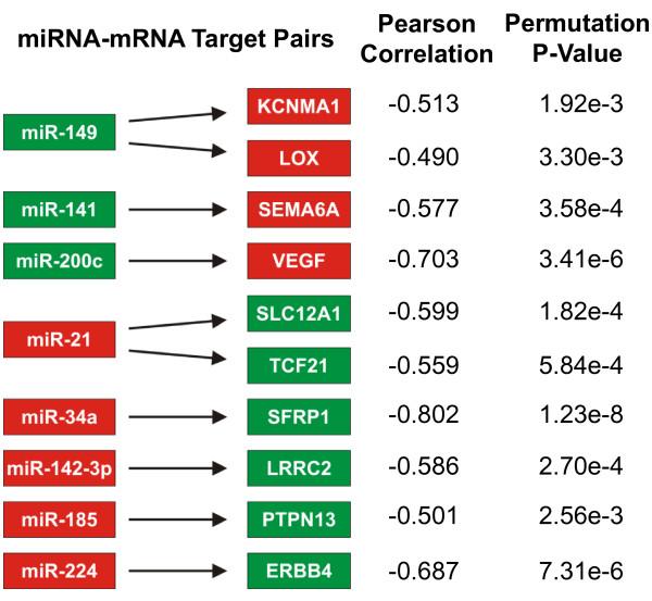 https://cdn.ncbi.nlm.nih.gov/pmc/blobs/9757/2876063/d001e698463d/1752-0509-4-51-4.jpg