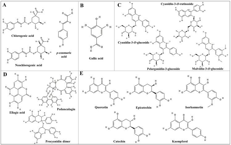 https://cdn.ncbi.nlm.nih.gov/pmc/blobs/975a/11174419/d96b433f93fc/nutrients-16-01597-g002.jpg