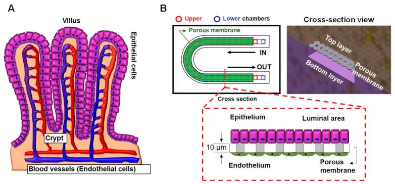 https://cdn.ncbi.nlm.nih.gov/pmc/blobs/975b/8305167/d4c2123bd040/micromachines-12-00747-g006.jpg