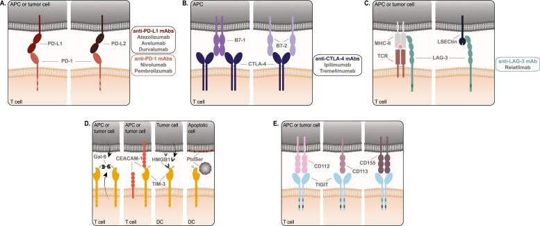 https://cdn.ncbi.nlm.nih.gov/pmc/blobs/9779/9327125/7dac9c665471/ltac005_fig1.jpg