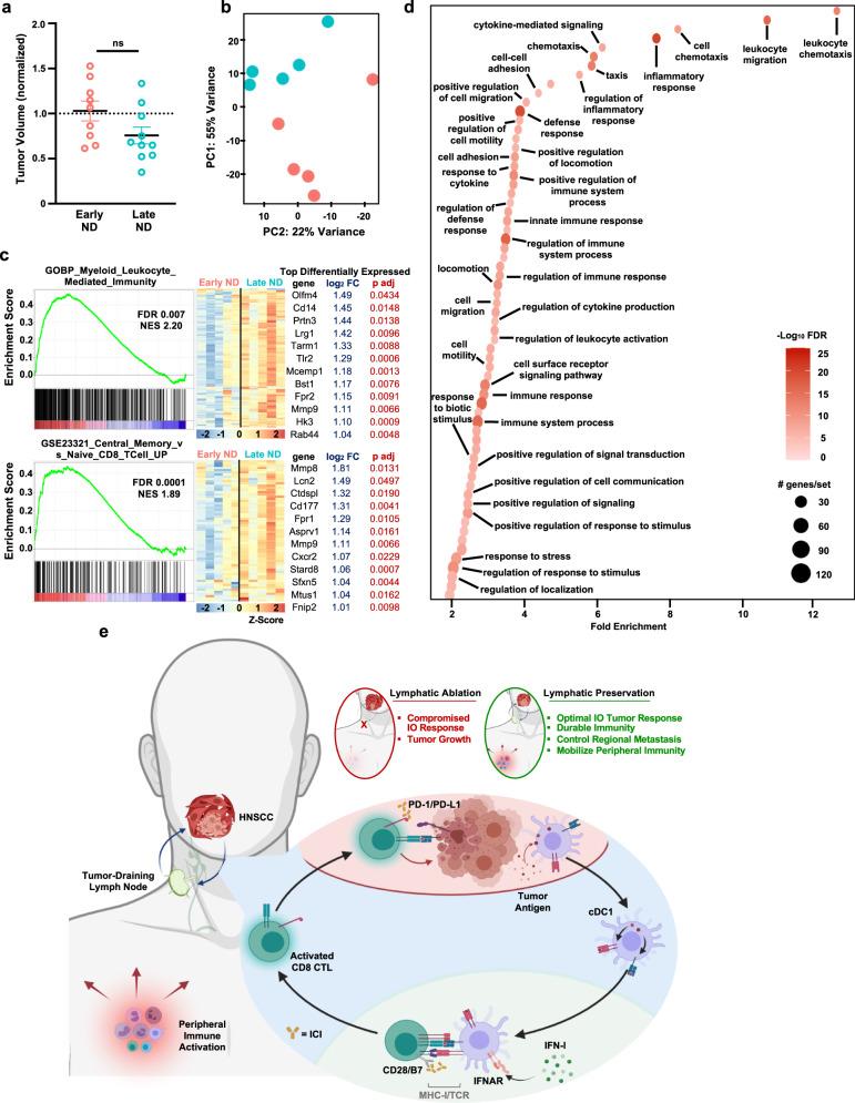 https://cdn.ncbi.nlm.nih.gov/pmc/blobs/977d/9314425/d1a1f990ce2e/41467_2022_31941_Fig6_HTML.jpg