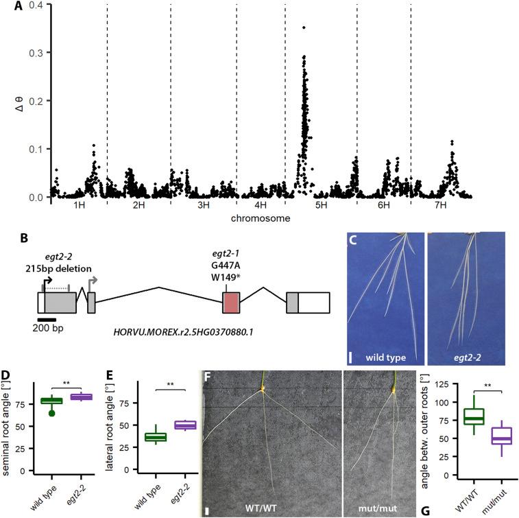 https://cdn.ncbi.nlm.nih.gov/pmc/blobs/9787/8536364/0b893b50c181/pnas.2101526118fig02.jpg