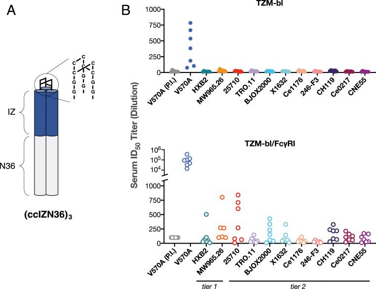 https://cdn.ncbi.nlm.nih.gov/pmc/blobs/9790/7826338/2d6a814d5707/pnas.2018027118fig04.jpg