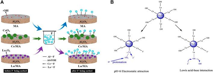 https://cdn.ncbi.nlm.nih.gov/pmc/blobs/979a/9114667/4ff208f5c3fe/fchem-10-900660-g004.jpg
