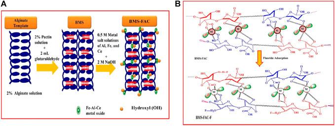 https://cdn.ncbi.nlm.nih.gov/pmc/blobs/979a/9114667/6c4469f25d0f/fchem-10-900660-g005.jpg