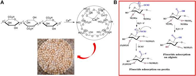 https://cdn.ncbi.nlm.nih.gov/pmc/blobs/979a/9114667/b3468c264c7a/fchem-10-900660-g002.jpg