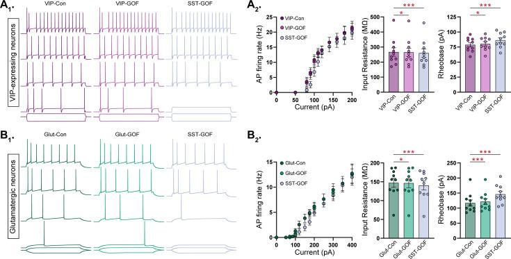 https://cdn.ncbi.nlm.nih.gov/pmc/blobs/97ab/11469685/d1f46951088d/elife-92915-fig6-figsupp1.jpg