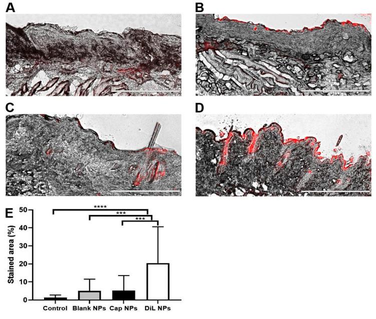 https://cdn.ncbi.nlm.nih.gov/pmc/blobs/97c7/9101161/26a0e54764c3/ijms-23-05275-g002.jpg
