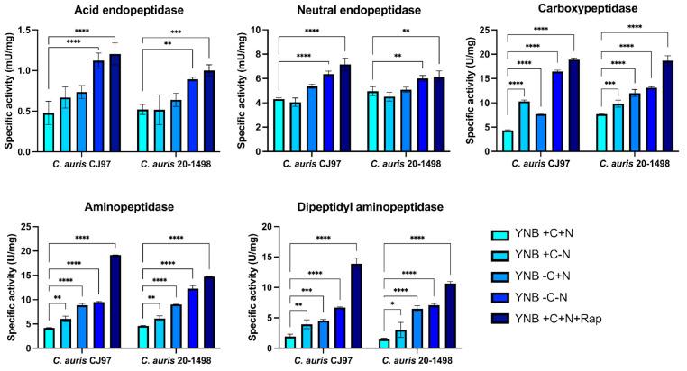 https://cdn.ncbi.nlm.nih.gov/pmc/blobs/97c8/12113386/394cb7e70381/jof-11-00388-g003.jpg