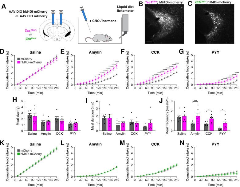 https://cdn.ncbi.nlm.nih.gov/pmc/blobs/97dd/9119672/9a548859a315/elife-75470-fig5.jpg