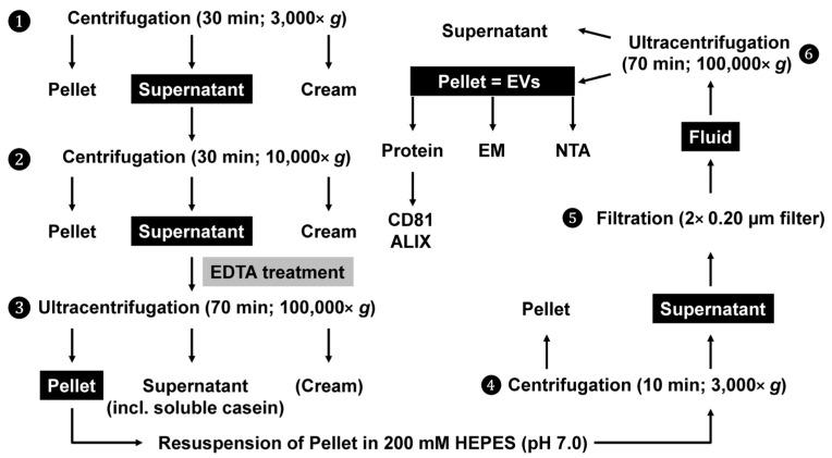 https://cdn.ncbi.nlm.nih.gov/pmc/blobs/97e1/10603983/eb8044f67e7d/biomedicines-11-02715-g001.jpg