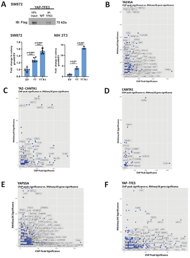 https://cdn.ncbi.nlm.nih.gov/pmc/blobs/97f5/8143797/17ad15198ef7/elife-62857-fig4-figsupp2.jpg