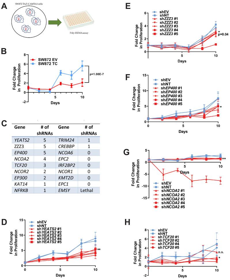 https://cdn.ncbi.nlm.nih.gov/pmc/blobs/97f5/8143797/2133145cd223/elife-62857-fig7.jpg