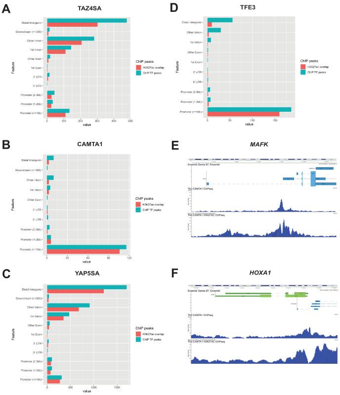 https://cdn.ncbi.nlm.nih.gov/pmc/blobs/97f5/8143797/3745ad700309/elife-62857-fig4-figsupp1.jpg