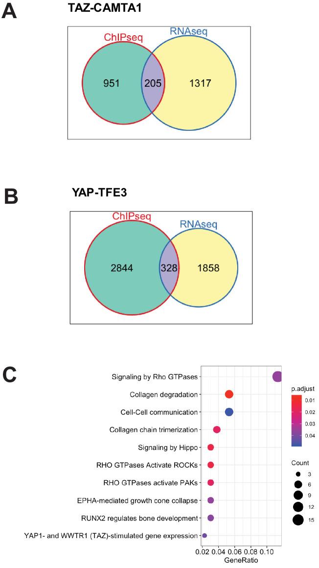https://cdn.ncbi.nlm.nih.gov/pmc/blobs/97f5/8143797/4b02a81af753/elife-62857-fig4-figsupp3.jpg