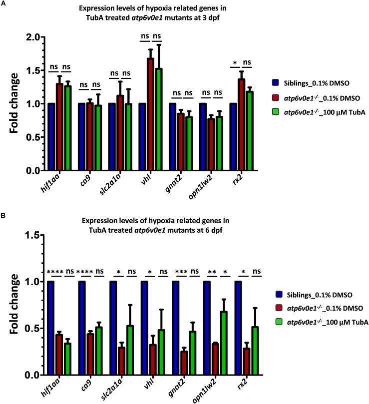 https://cdn.ncbi.nlm.nih.gov/pmc/blobs/9828/7479070/e51a2b4f181f/fcell-08-00689-g006.jpg