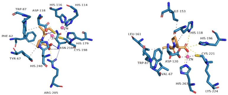 https://cdn.ncbi.nlm.nih.gov/pmc/blobs/9838/11356879/4bdb2fb2caf9/molecules-29-03944-g004.jpg