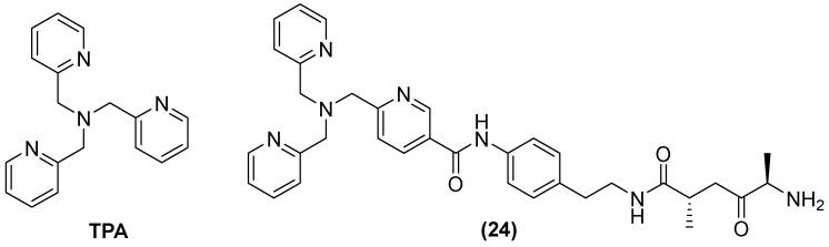 https://cdn.ncbi.nlm.nih.gov/pmc/blobs/9838/11356879/f469980cf666/molecules-29-03944-g015.jpg