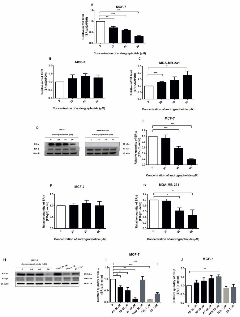 https://cdn.ncbi.nlm.nih.gov/pmc/blobs/9848/9182433/05f69bcb22b3/molecules-27-03544-g005.jpg