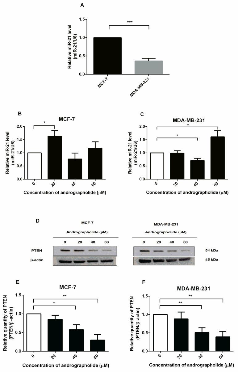 https://cdn.ncbi.nlm.nih.gov/pmc/blobs/9848/9182433/479b2af1d10f/molecules-27-03544-g008.jpg