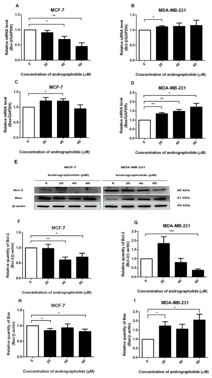 https://cdn.ncbi.nlm.nih.gov/pmc/blobs/9848/9182433/5ab51a87a43e/molecules-27-03544-g003.jpg