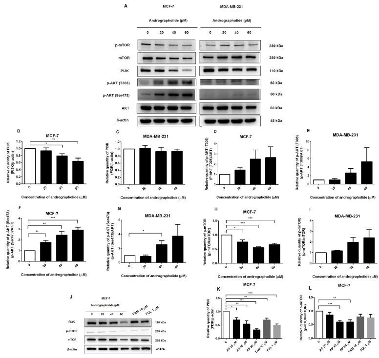 https://cdn.ncbi.nlm.nih.gov/pmc/blobs/9848/9182433/74636ffae514/molecules-27-03544-g006.jpg