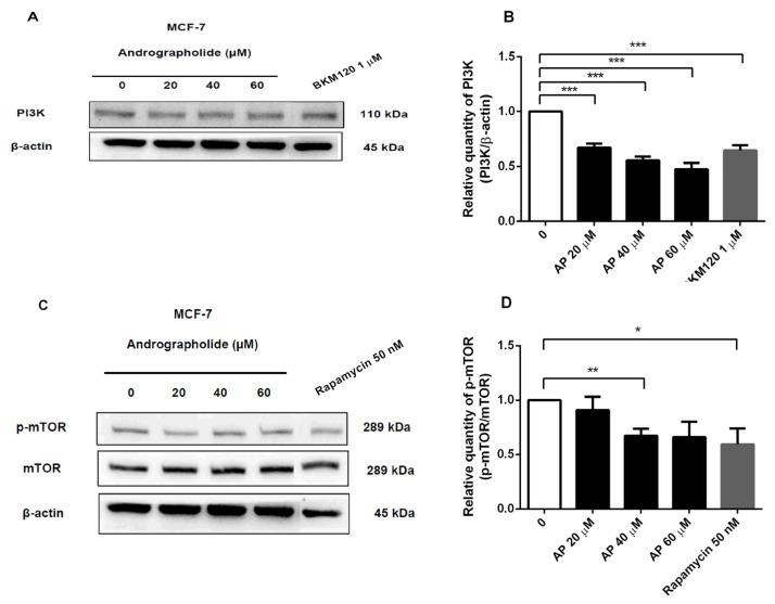 https://cdn.ncbi.nlm.nih.gov/pmc/blobs/9848/9182433/d0c79e44217b/molecules-27-03544-g007.jpg