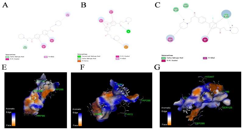 https://cdn.ncbi.nlm.nih.gov/pmc/blobs/9858/6152156/9e91c93867dd/molecules-22-01254-g004.jpg